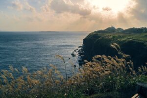 Read more about the article Exploring the Enchanting Beauty of Jeju Island | Korea